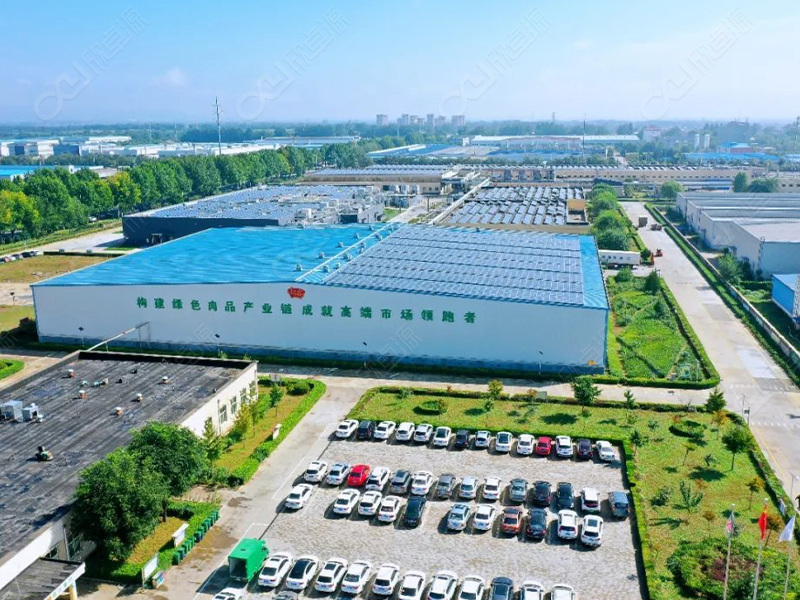 新希望六和公司